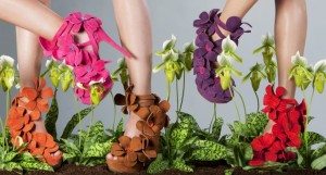 Jan Jansen Orchid shoe