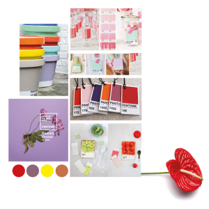 Moodboard Pantone with Anthurium and Orchid