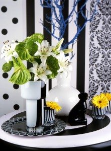 Anthurium cut flower Midori improved®