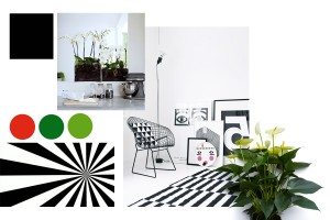 Black and white design with Orchid and Anthurium