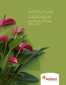 Anthura catalogie Anthurium 2016/2017