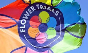 Flower Trials 2016