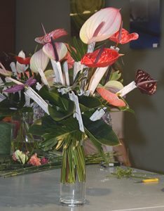 flower arranging with Anthurium