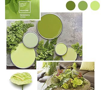 Green living with Pantone Greenery