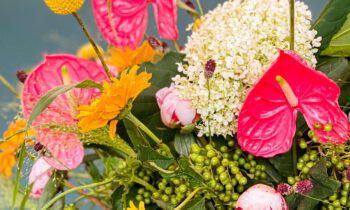 Foto-impressie Flower Circus en Master Florist