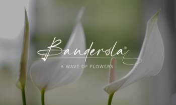 Banderola, a wave of flowers