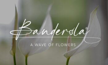Banderola, una ola de flores